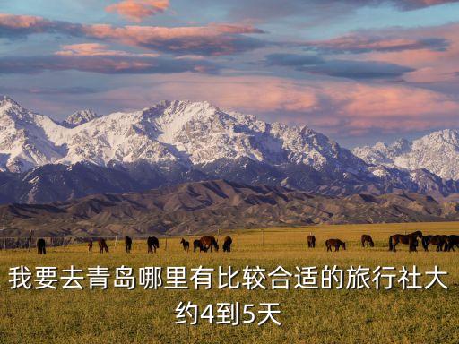 我要去青岛哪里有比较合适的旅行社大约4到5天
