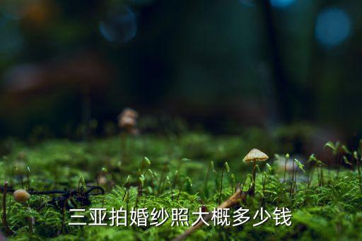 三亚拍婚纱照大概多少钱