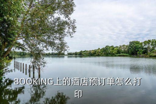BOOKING上的酒店预订单怎么打印