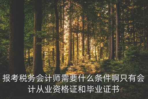 税务师报考条件和时间2023，注册税务师报名条件