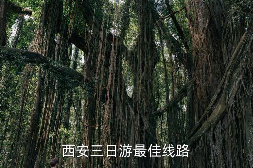 西安三日游最佳线路