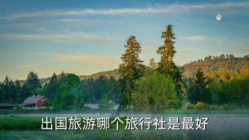 去国外旅游哪家旅游团好，境外游选择哪家旅行社更好