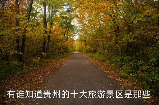 有谁知道贵州的十大旅游景区是那些