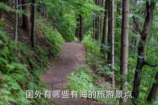 国外有哪些有海的旅游景点