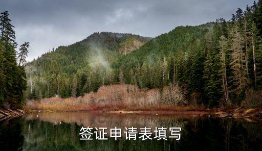 出国签证申请表怎么填，签证申请表填写