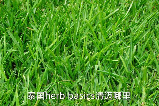 泰国herb basics清迈哪里