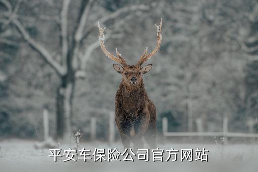 平安自驾游保险官网，平安保险公司官网是什么
