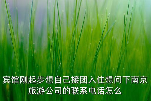 宾馆刚起步想自己接团入住想问下南京旅游公司的联系电话怎么