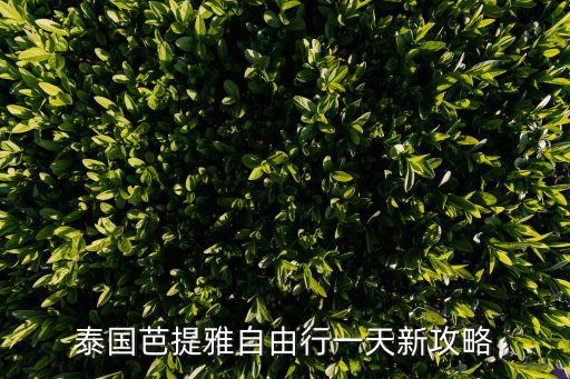 泰国芭提雅自由行一天新攻略