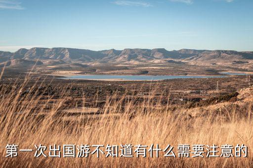第一次出国旅游，第一次出国游不知道有什么需要注意的