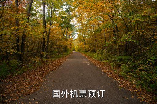 去国外机票，国外机票预订