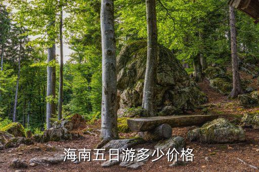 海南旅游五日游多少钱，海南五日游多少价格