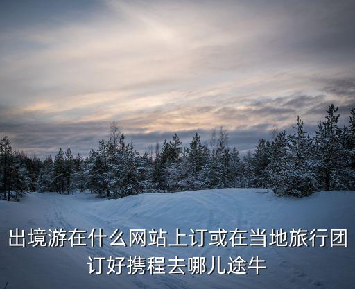 出境游在什么网站上订或在当地旅行团订好携程去哪儿途牛