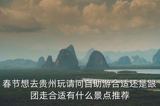 春节想去贵州玩请问自助游合适还是跟团走合适有什么景点推荐