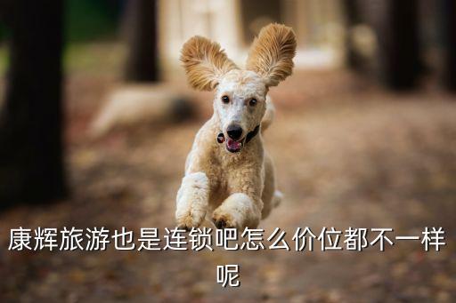 康辉旅行社旅游价格表北京，康辉旅行社去王莽岭2日旅游多少钱