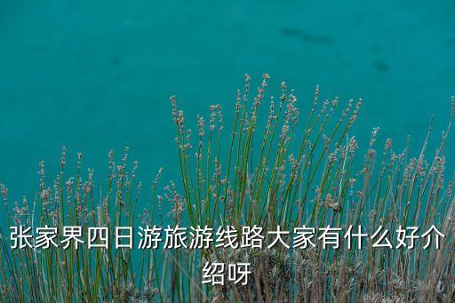 张家界四日游旅游线路大家有什么好介绍呀
