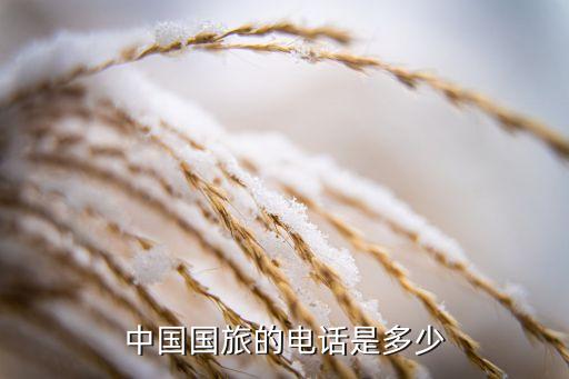 大连国旅旅行社电话，开发区金州的旅行社