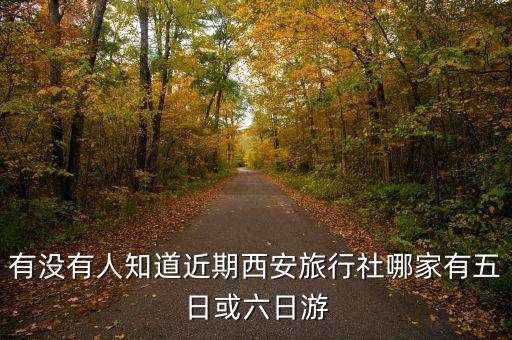 西安旅游团怎么找，报团西安游 西安哪家旅行社好
