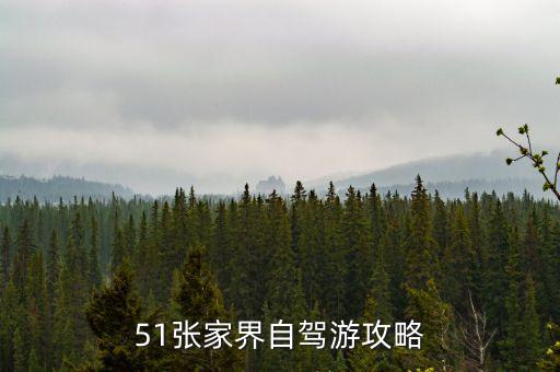 51张家界自驾游攻略