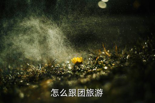 怎么跟团去旅游，跟团旅行步骤 详细点