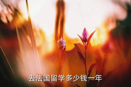 法国留学费用一年多少人民币，去法国留学多少钱一年
