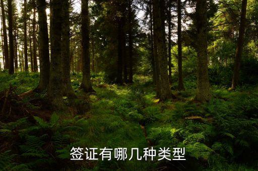 签证有哪些类型，签证有哪几种类型