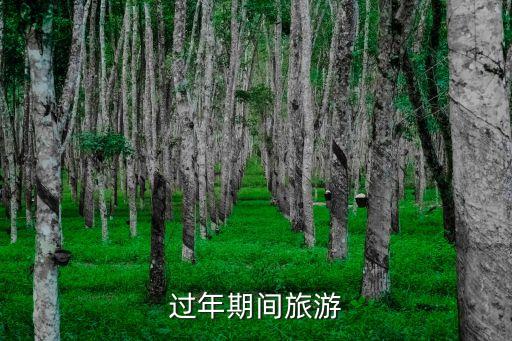 过年期间旅游