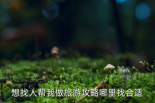 想找人帮我做旅游攻略哪里找合适