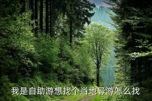 我是自助游想找个当地导游怎么找