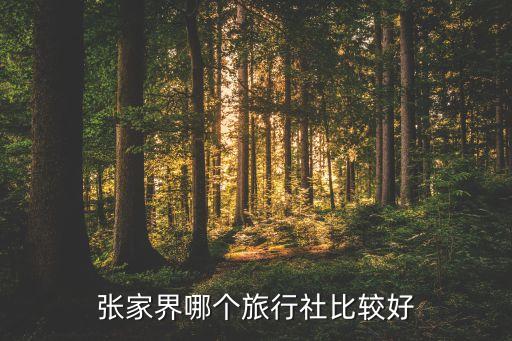 张家界哪个旅行社比较好