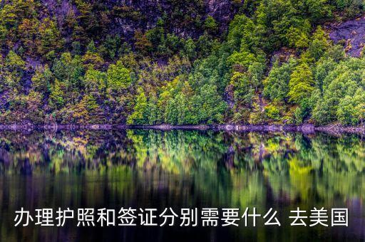 圣卢西亚护照去美国需要申请，办理护照和签证分别需要什么 去美国