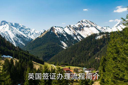 英国签证办理流程简介