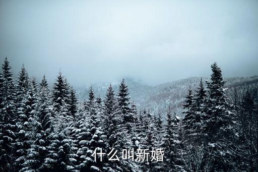 什么叫新婚