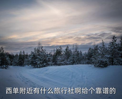 西单附近有什么旅行社啊给个靠谱的