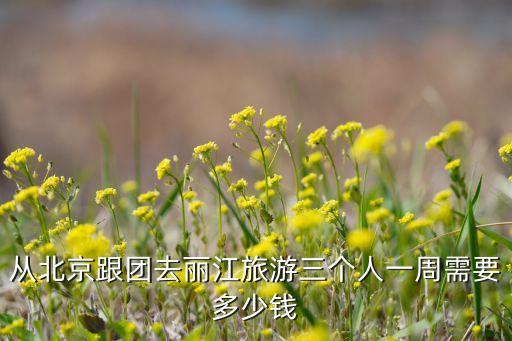 从北京跟团去丽江旅游三个人一周需要多少钱
