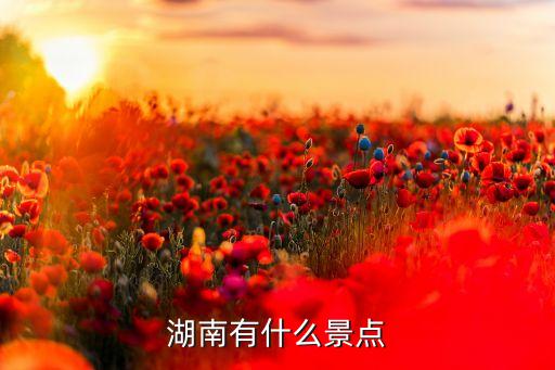 湖南有什么景点