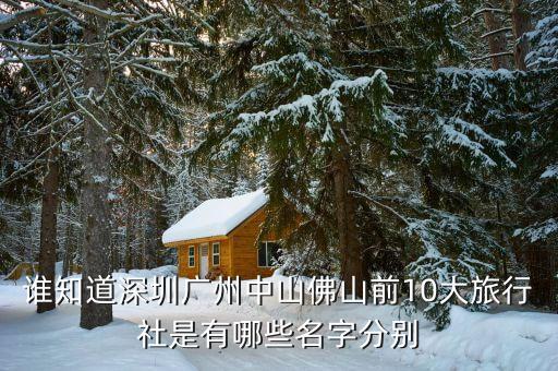 谁知道深圳广州中山佛山前10大旅行社是有哪些名字分别