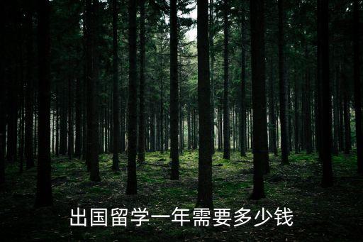 出国留学一年需要多少钱