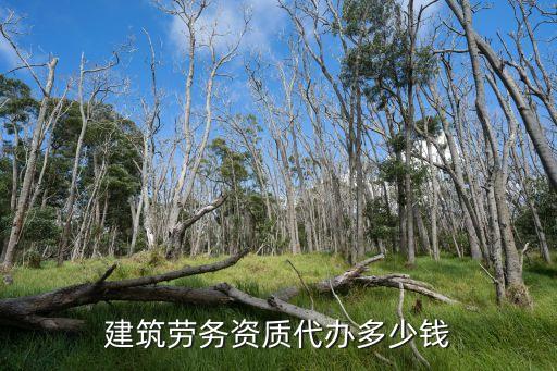 建筑劳务资质代办多少钱