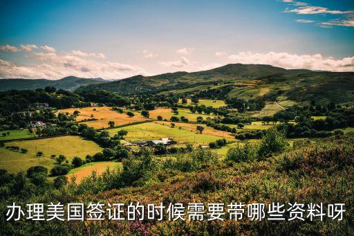 办理美国签证的时候需要带哪些资料呀