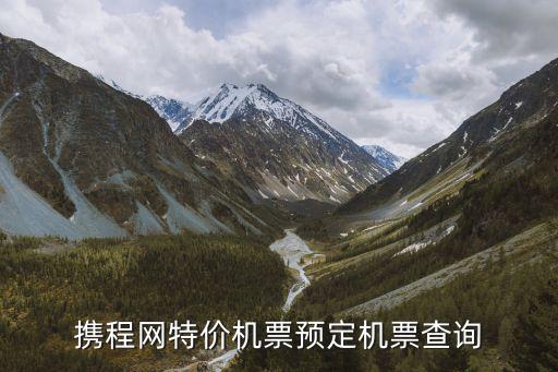 携程网特价机票预定机票查询