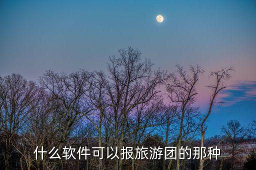 什么软件可以报旅游团的那种