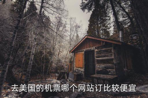 去美国的机票哪个网站订比较便宜