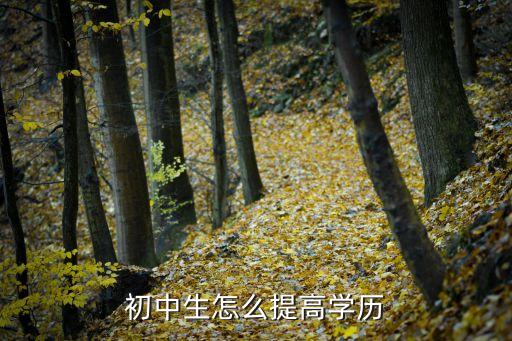 初中学历怎么提升学历啊，初中生怎么提高学历