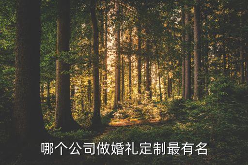 定制旅行婚礼品牌，旅游结婚哪家好