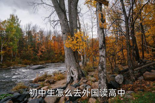 初中毕业出国读高中，初中生怎么去外国读高中
