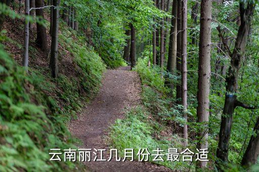 几月份去丽江旅游最合适，云南丽江几月份去最合适