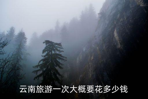 云南旅游一次大概要花多少钱