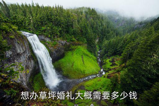 想办草坪婚礼大概需要多少钱