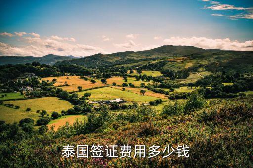 2023泰国签证多少钱，办泰国签证需要多少钱